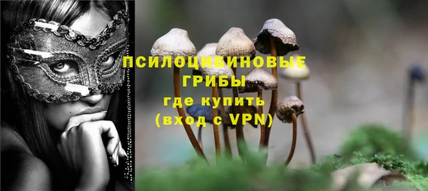 спиды Михайловск