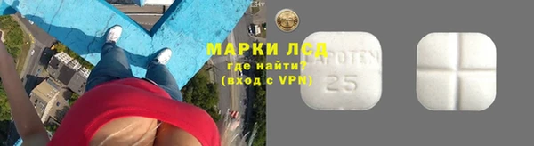 твердый Михайлов