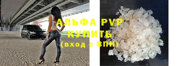 твердый Михайлов