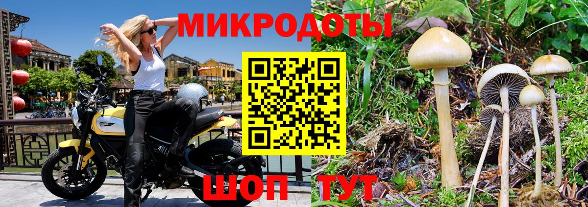Уварово  Галлюциногенные грибы прущие грибы  Вход с VPN 